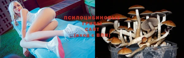 дмт Алексин