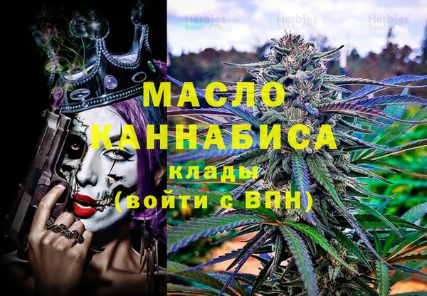 дмт Алексин