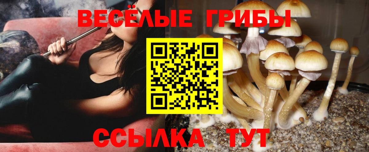 Обнинск  Галлюциногенные грибы прущие грибы  Вход с VPN 